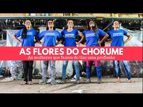 Video as-flores-do-chorume-as-mulheres-que-fazem-do